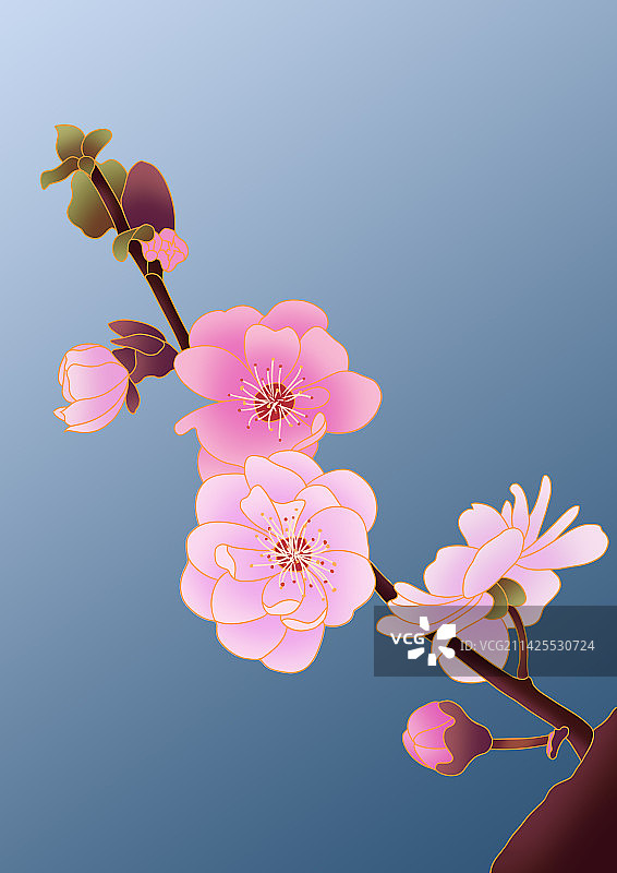 植物插画图片素材