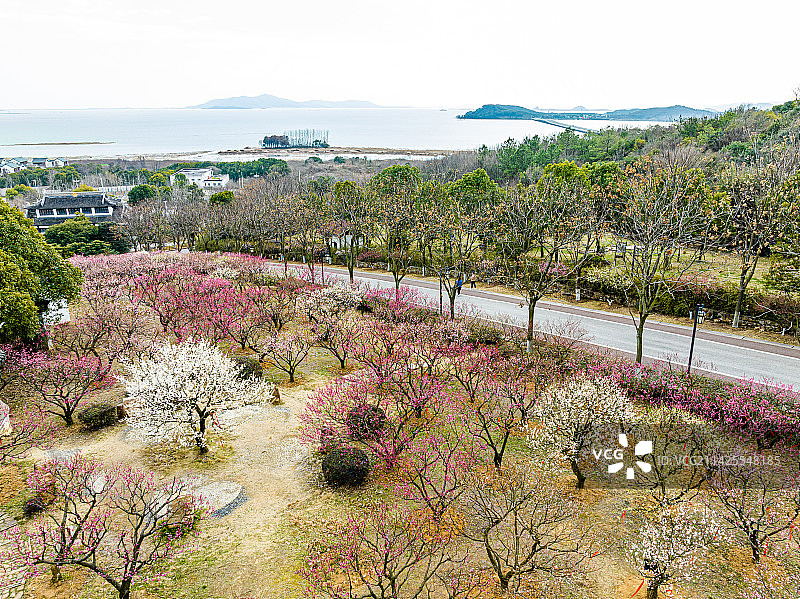 苏州渔洋山景区春季航拍图片素材
