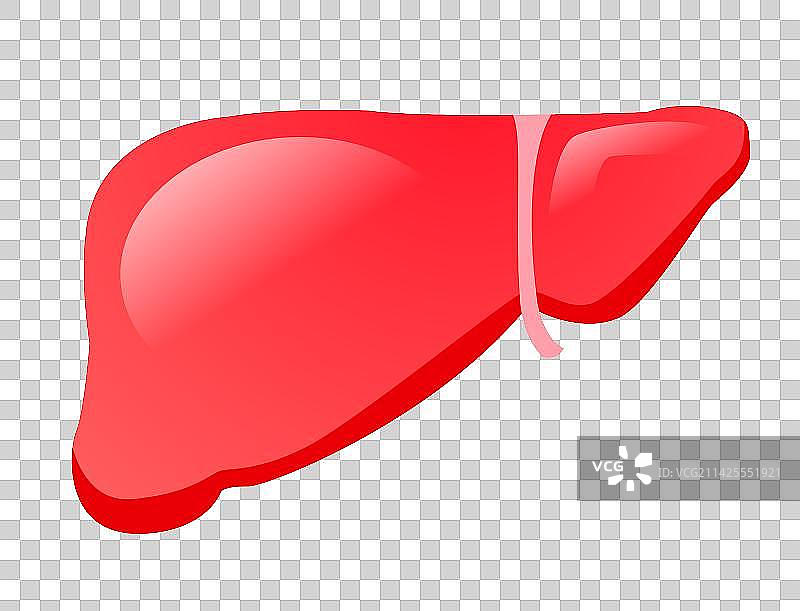 卡通节日全国爱肝日肝炎器官内脏医疗器官扁平矢量插画矢量免抠元素图片素材