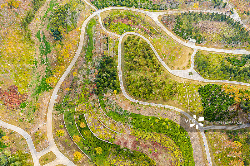 航拍郑州市森林公园凤山园区冬季层林尽染 河南郑州凤山森林公园图片素材