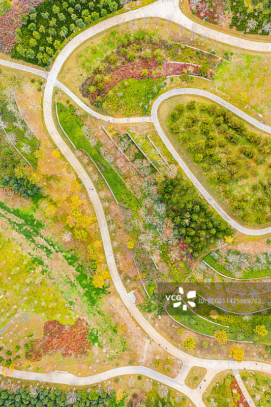 航拍郑州市森林公园凤山园区冬季层林尽染 河南郑州凤山森林公园图片素材