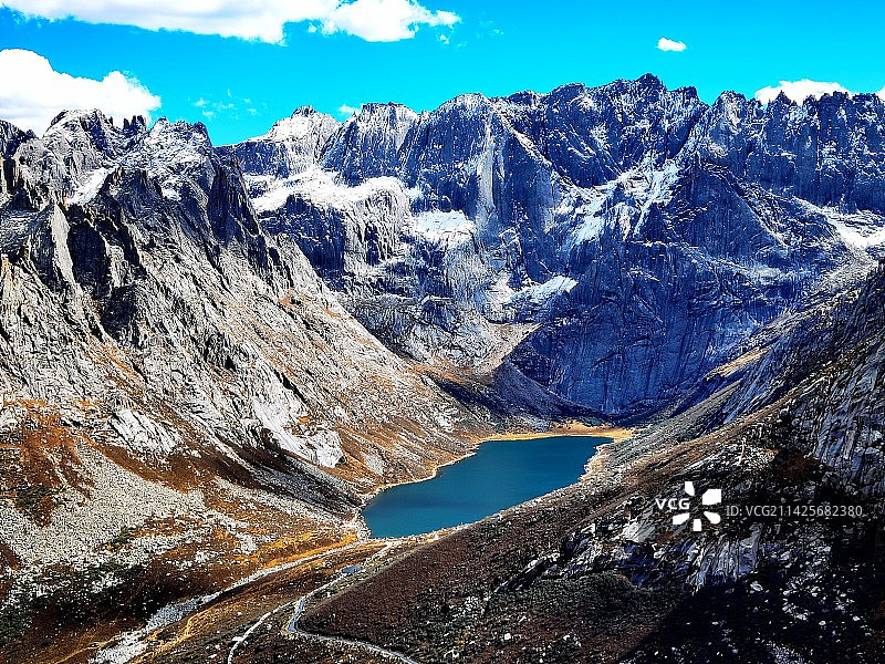 莲宝叶则图片素材