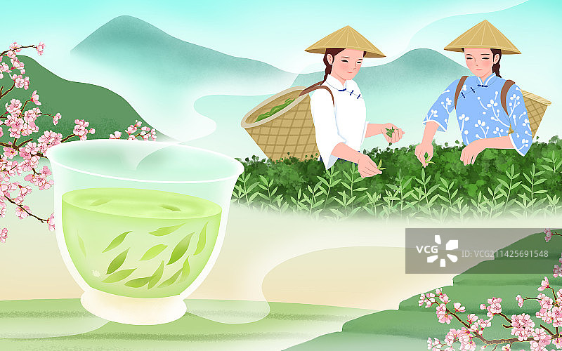 中国茶文化插画图片素材