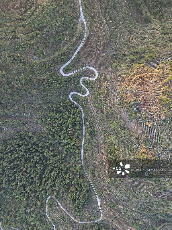 乡村振兴——柏油路与机耕道图片素材