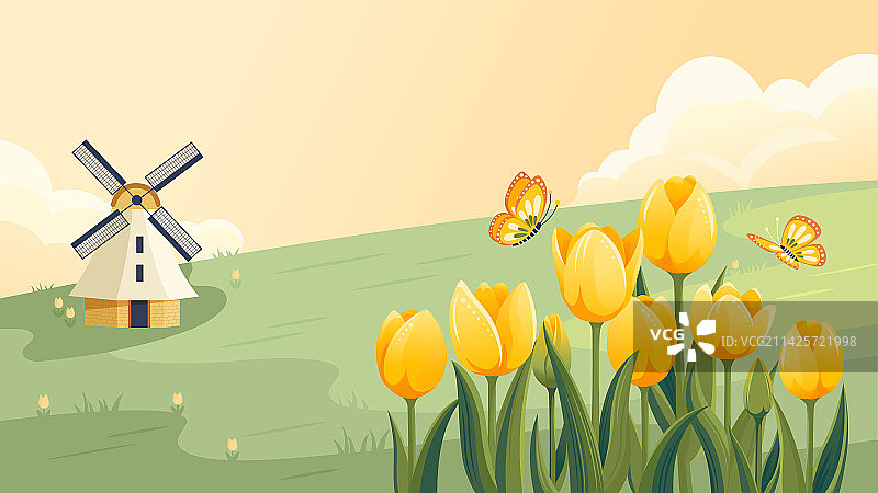 春天美丽的黄色郁金香横版图片素材