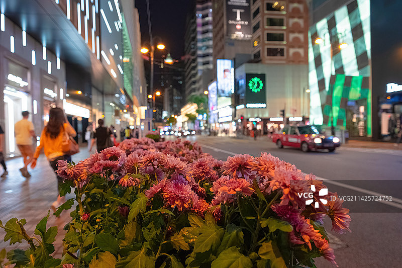 香港海港城图片素材