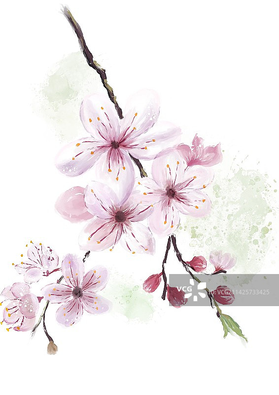 春天水彩桃花图片素材
