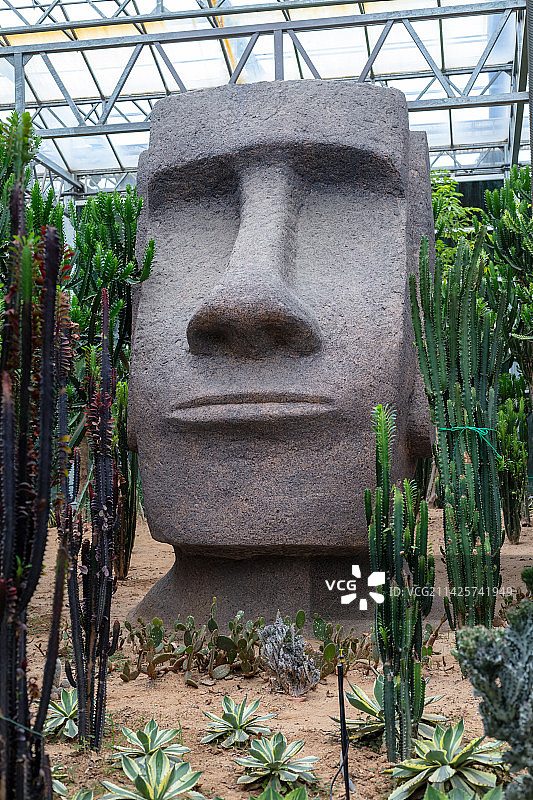 中国山东潍坊寿光菜博会4号馆“莫像沐绿”莫埃石像图片素材