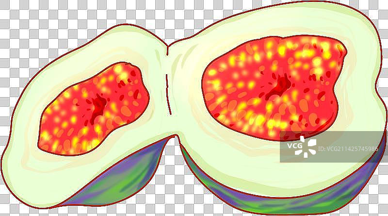 无花果叶子饮料设计元素营养水果插画图片素材