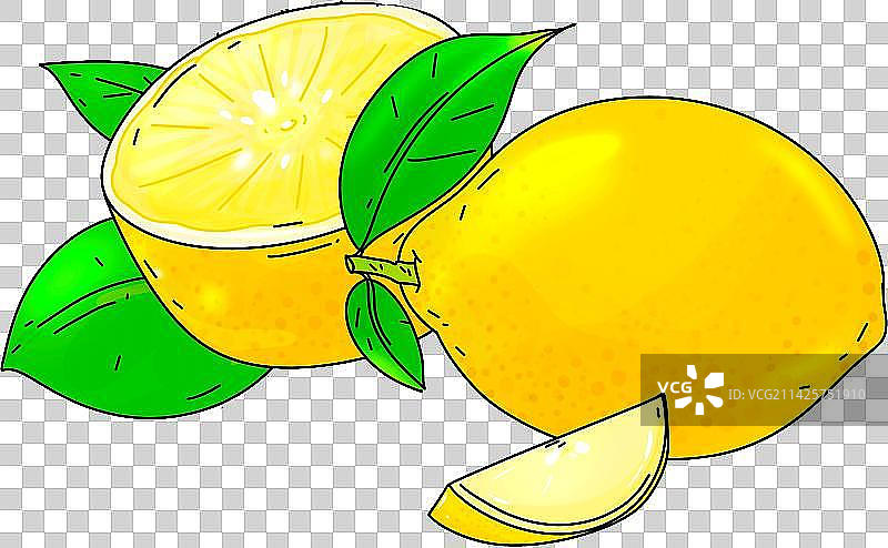 柠檬叶子花朵饮料设计元素营养水果插画图片素材