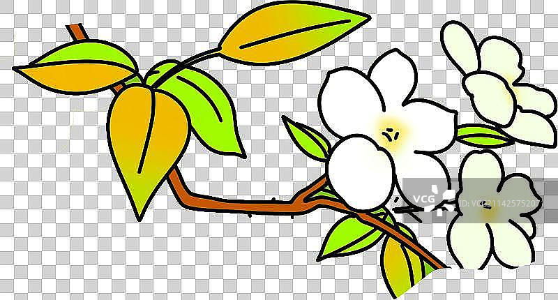 梨树梨花菠萝饮料设计元素营养水果插画图片素材