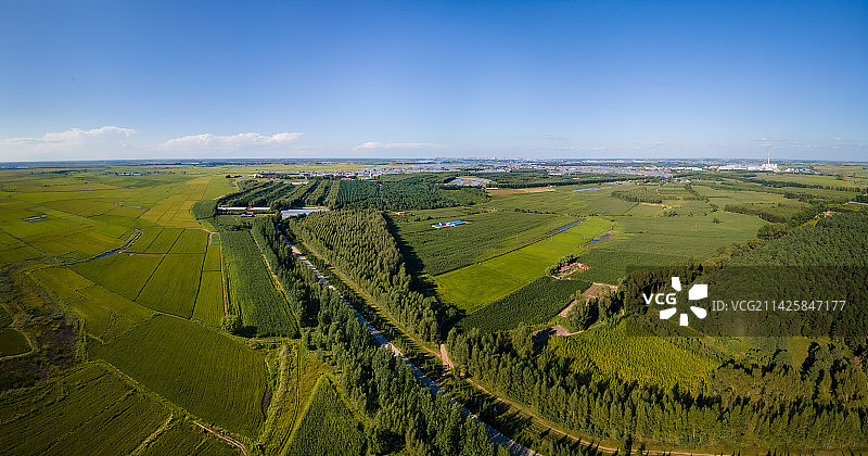 航拍东北平原夏天农田图片素材