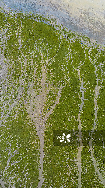 大地纹理图片素材