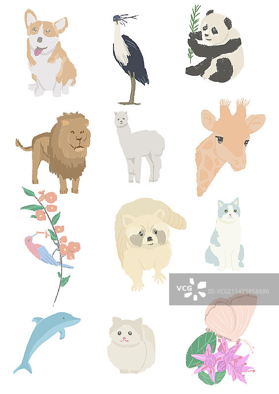 可爱的动物图片素材