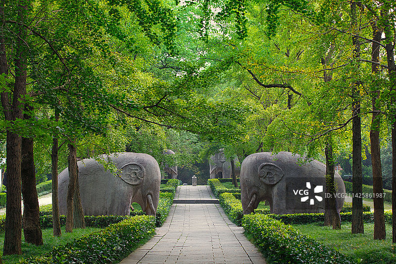 静候千秋图片素材