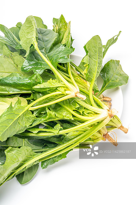 白背景上新鲜菠菜图片素材