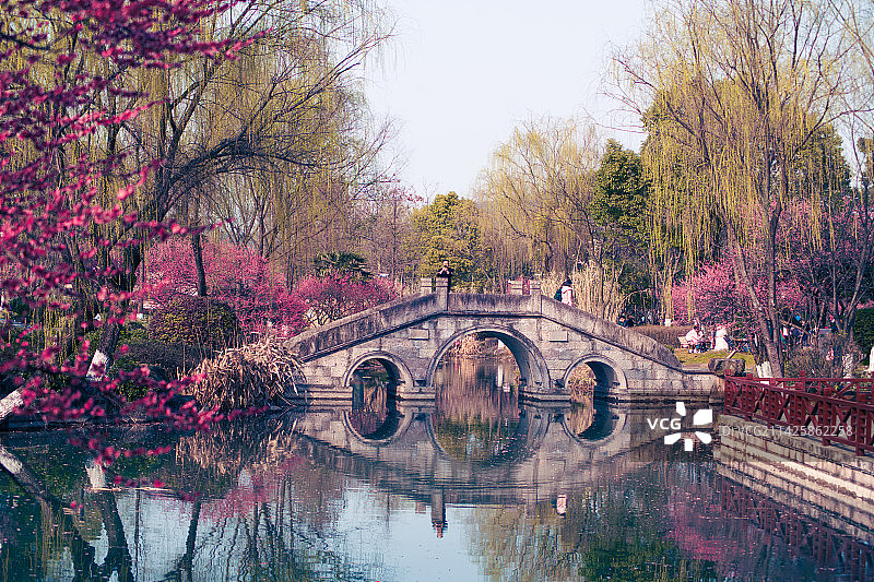 杭州超山梅花图片素材