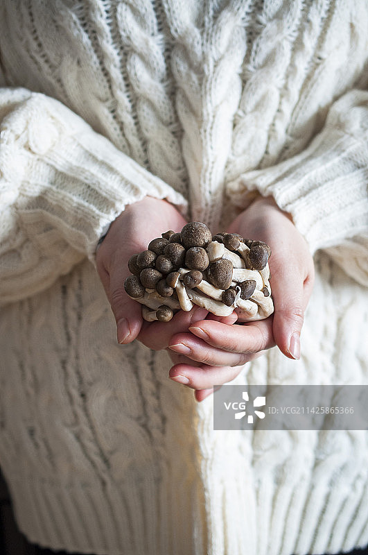 春天 蔬菜 紫甘蓝 洋葱 红心  豆苗 绿色 豆芽  特写 露珠 新鲜 特写 微距 水果 健康图片素材
