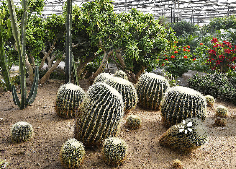 山东临沂兰陵国家农业公园“锦绣兰陵“展厅””图片素材