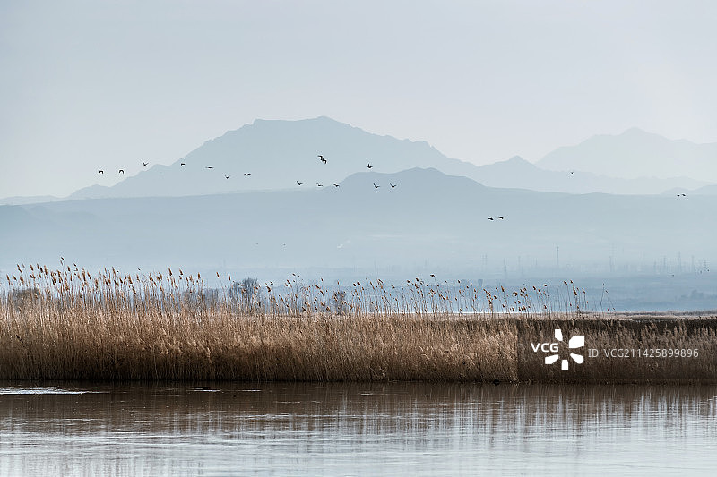 官厅水库湿地风光图片素材
