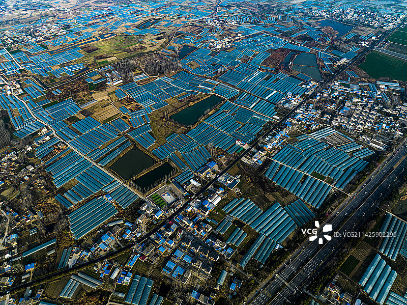 安徽省合肥市长丰县草莓园大棚图片素材