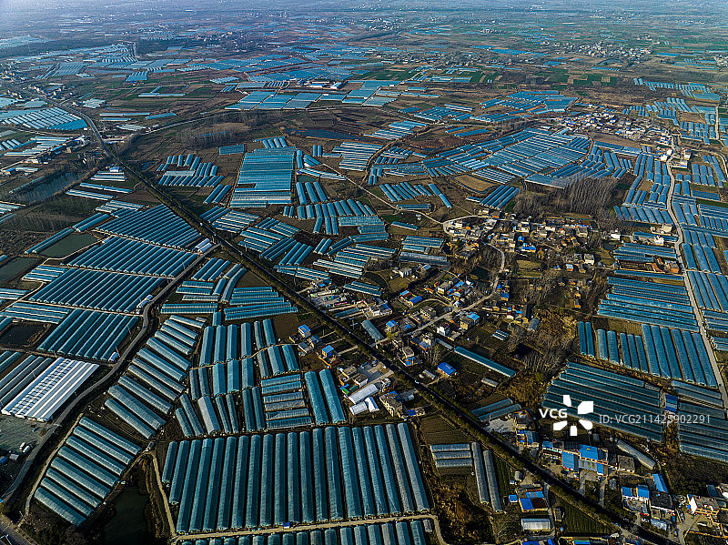 安徽省合肥市长丰县草莓园大棚图片素材