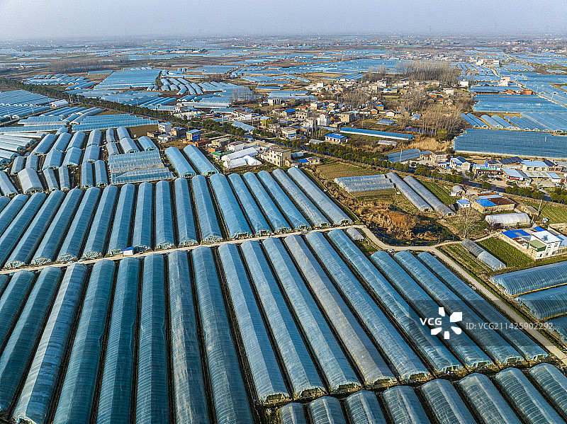 安徽省合肥市长丰县草莓园大棚图片素材