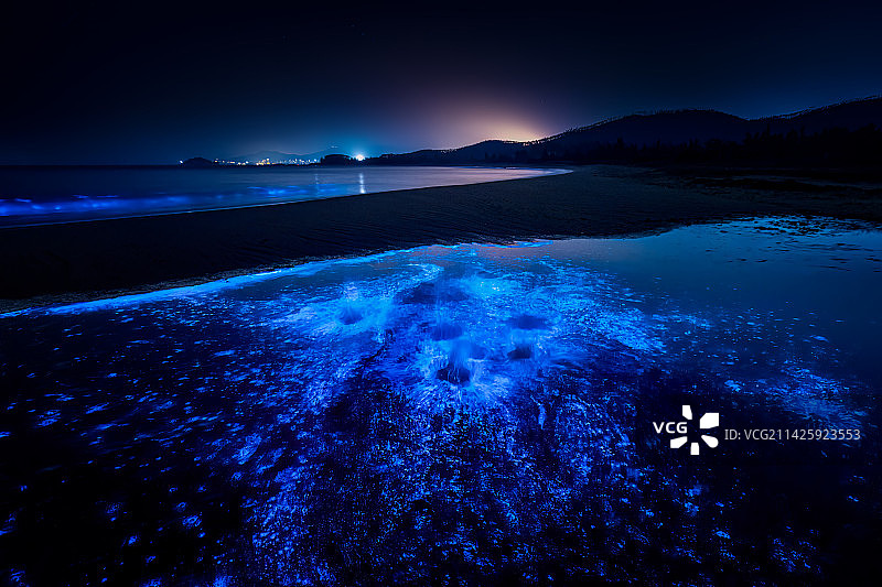 蓝眼泪-极致美丽背后的危机图片素材