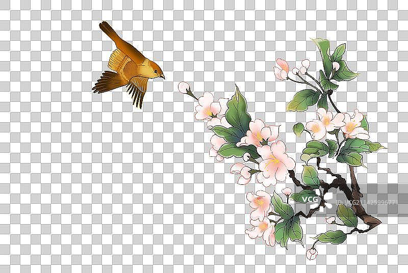 海棠花与鸟图片素材