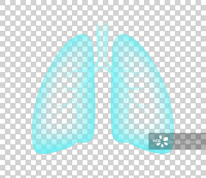 世界卫生日医疗健康保健新型冠状肺炎肺部结构图图片素材