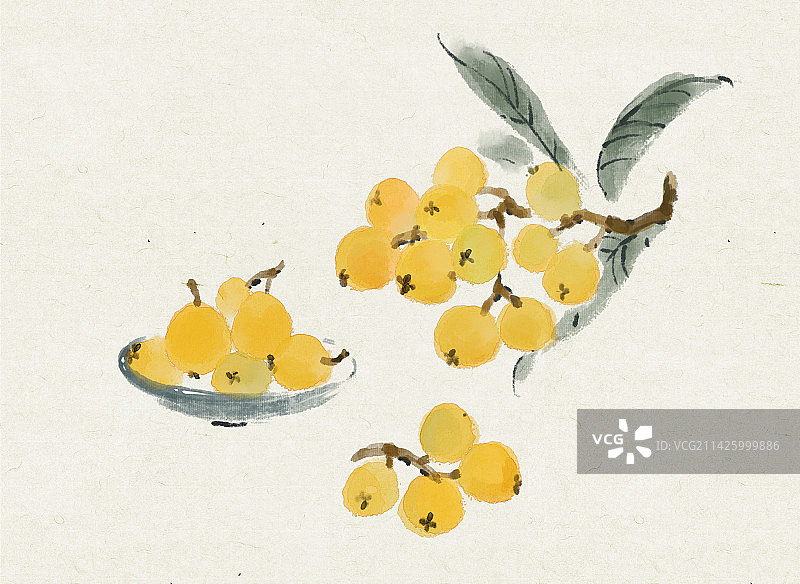 水墨画枇杷图片素材