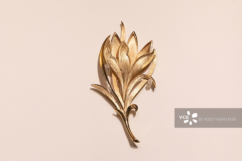 北京清华大学艺术博物馆兰花盆景胸针9.3x4.8cm1960年合金镀金图片素材