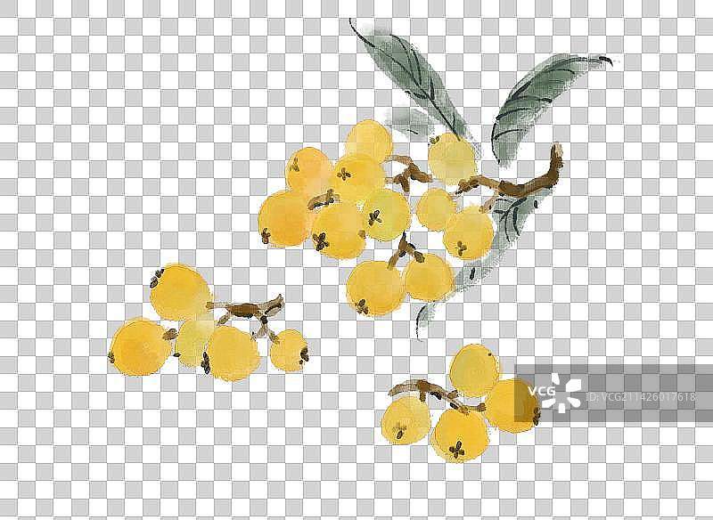 枇杷水墨画图片素材