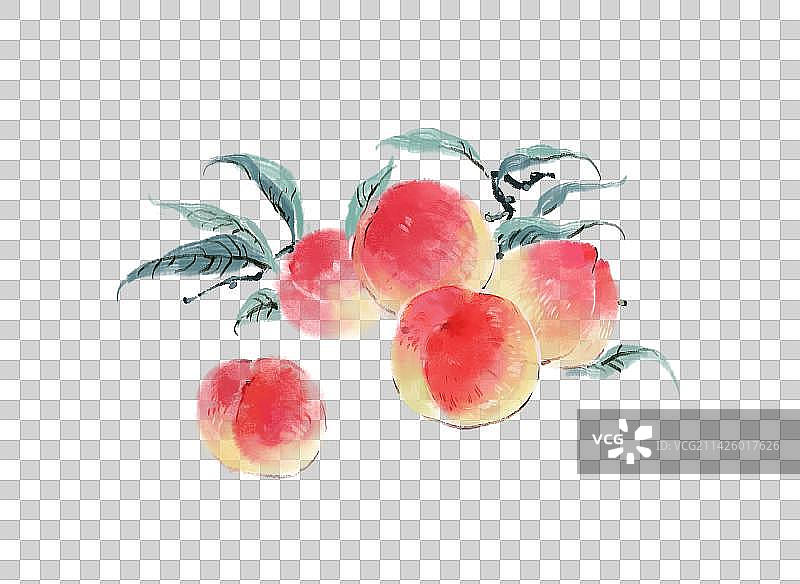 桃子水墨画图片素材