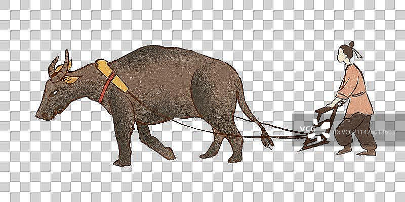 在春天的春分季节里山乡春农民耕牛耕地播种图片素材