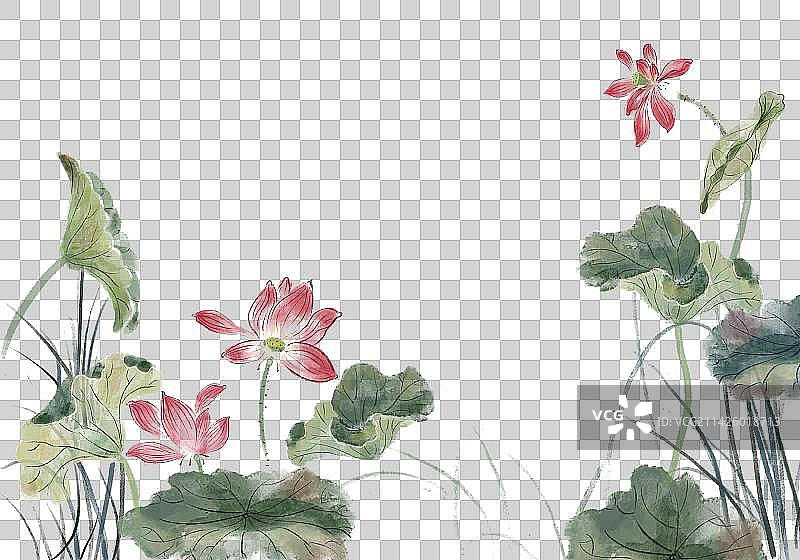 荷叶和荷花图片素材