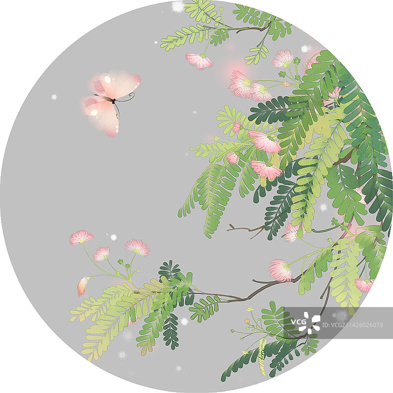 中国风工笔花卉图片素材