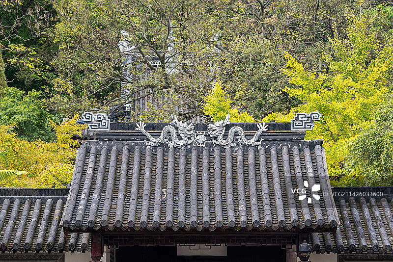 昆山亭林园顾炎武纪念馆建筑细节，中国传统的屋顶是双龙戏珠，秋天绿色黄色的银杏叶掩映周围图片素材