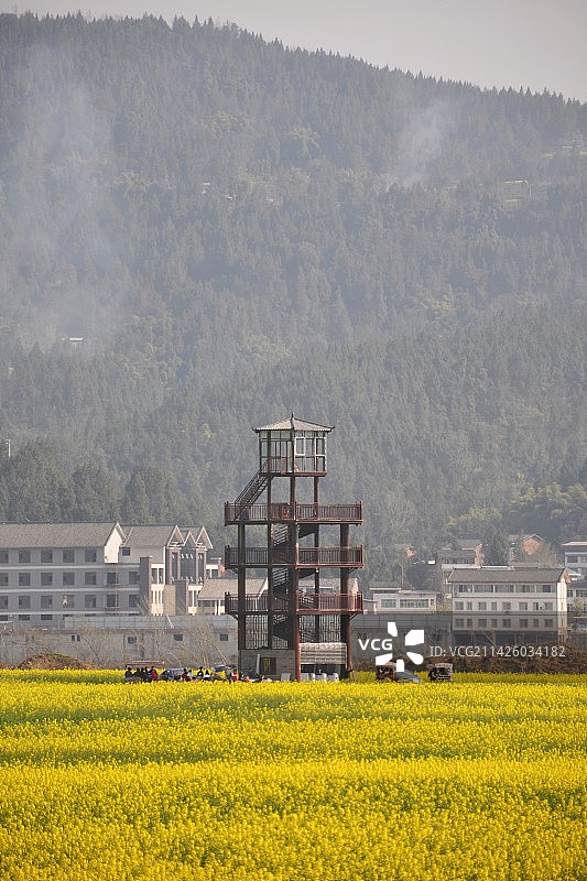 巴中平昌白衣古镇 油菜花图片素材