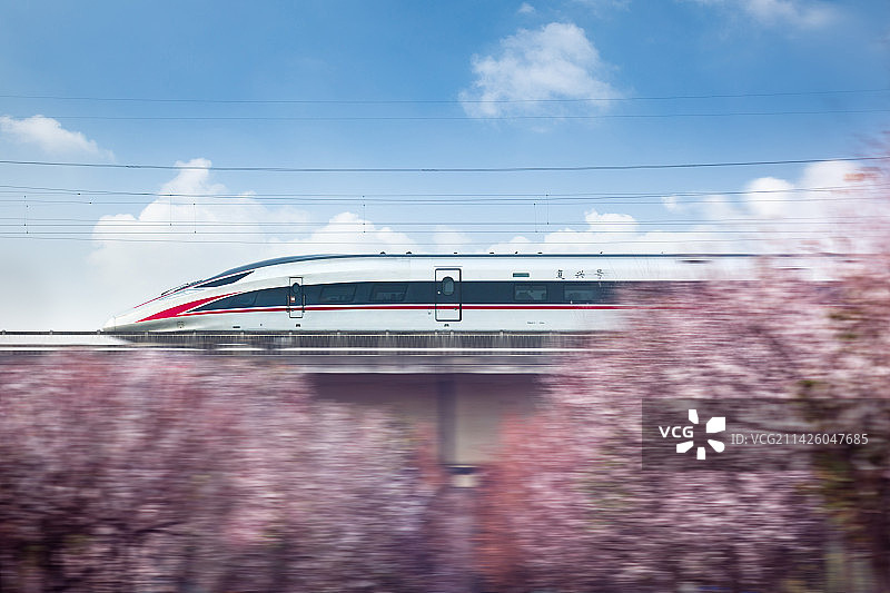 重庆金凤段春天的樱花与高速列车火车图片素材