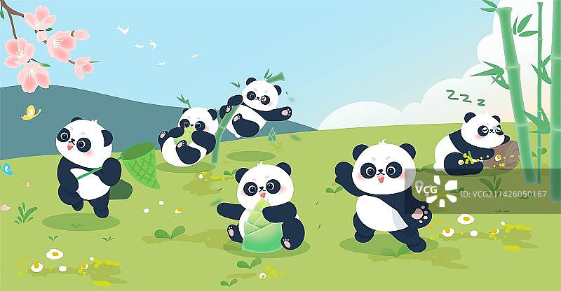 活泼可爱的小众猫在玩耍图片素材
