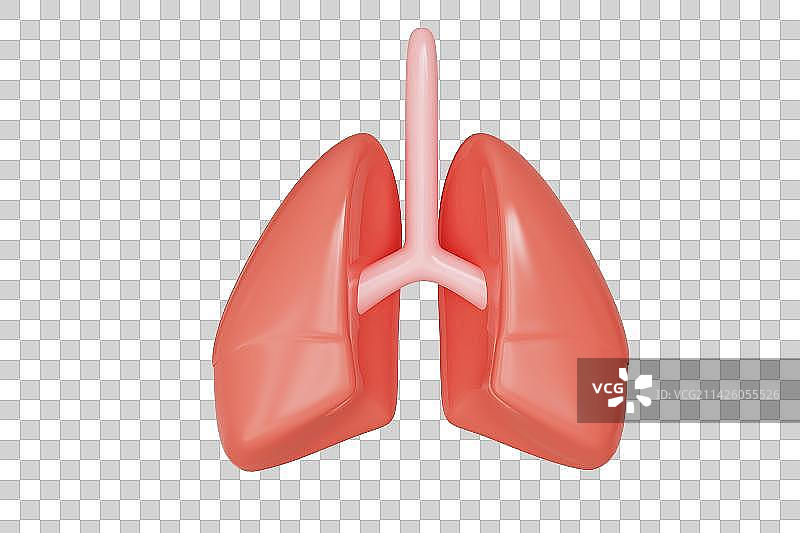 肺部器官三维插画图片素材