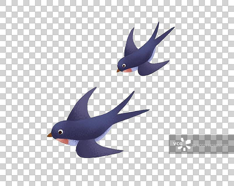 燕子插画图片素材