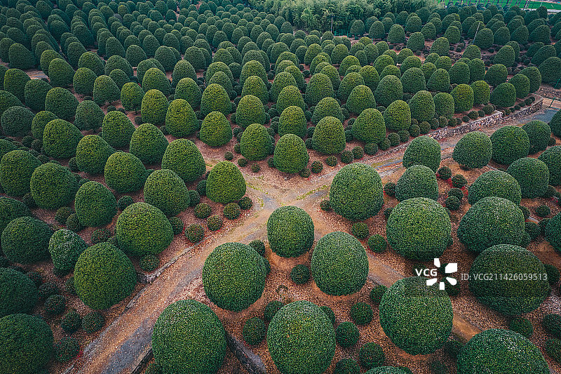杭州桂花园图片素材