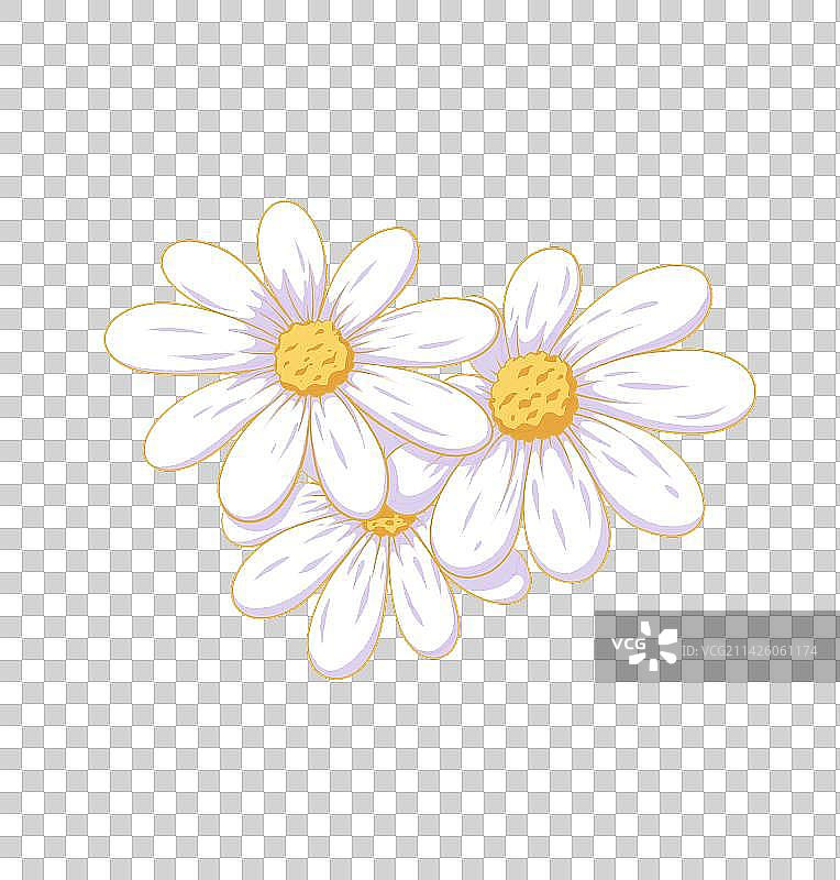雏菊花朵插画图片素材