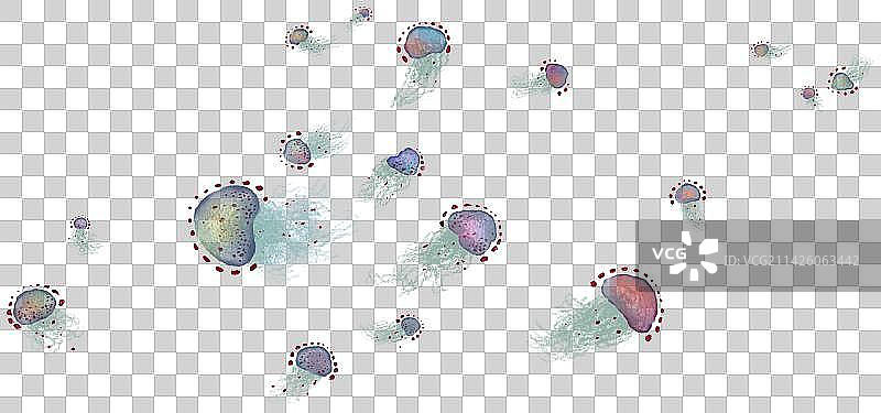 免抠元素5（水母）图片素材