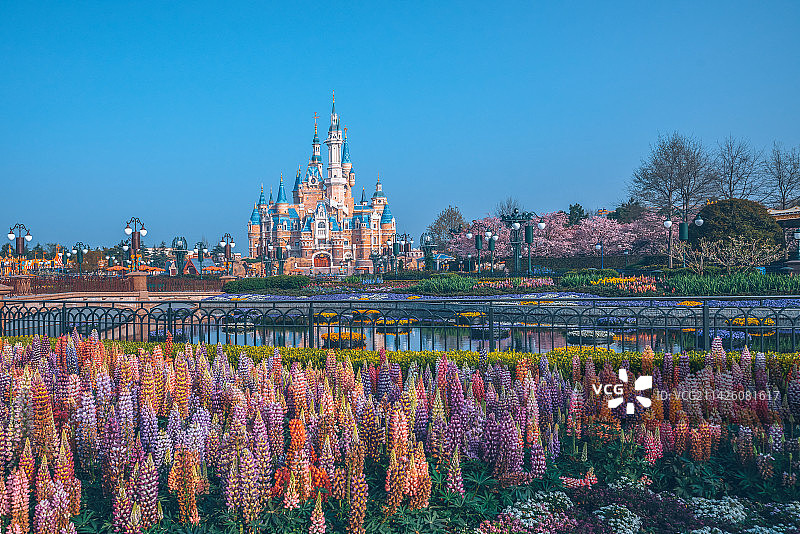上海花海中的迪斯尼乐园奇幻童话城堡图片素材