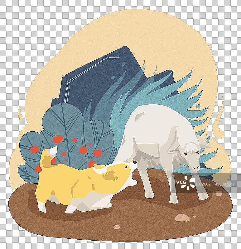 柯基牧羊图片素材