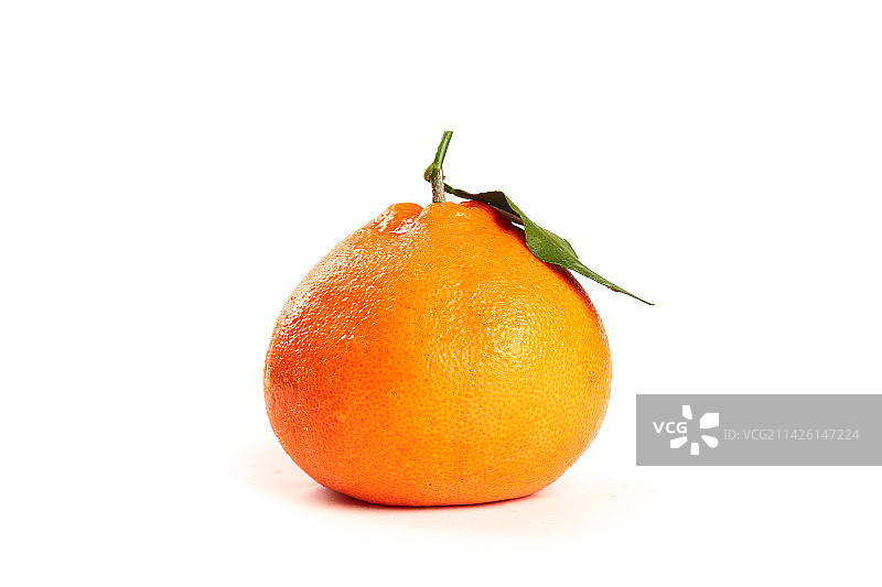 白底上的耙耙柑图片素材