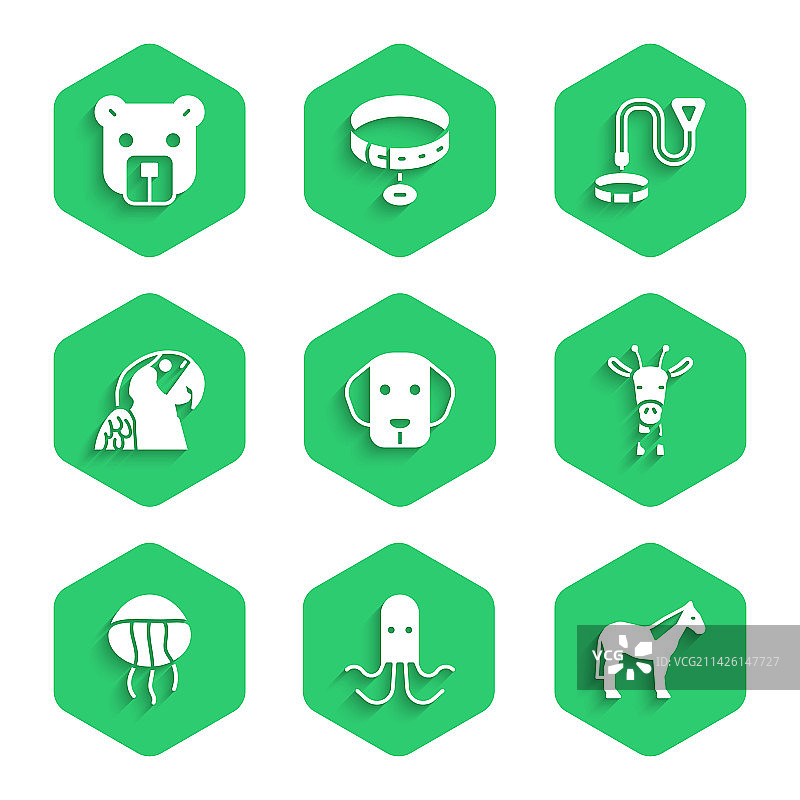 狗、章鱼、马、长颈鹿和水母头像套装图片素材